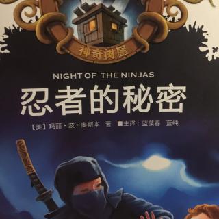 night of the ninjas8-9