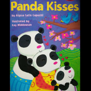 Panda Kisses