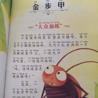 法布尔昆虫记-金步甲