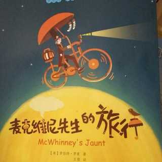 麦克维尼先生的旅行