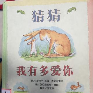 绘本故事《猜猜我有多爱你》