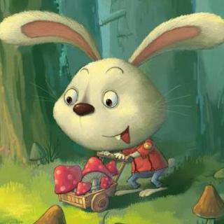 《狡猾的兔子》—影响孩子成长的100个故事