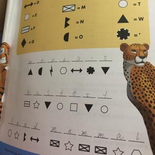 Cheetah Code