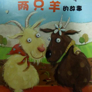 淙淙妈妈读绘本――两只羊的故事