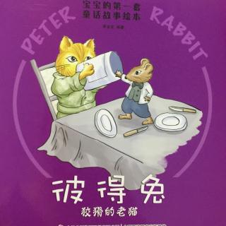 560.彼得兔.狡猾的老猫