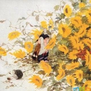 青铜葵花🌻17-曹文轩作品