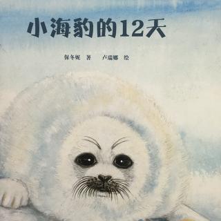 第386夜 生命教育《小海豹的12天》