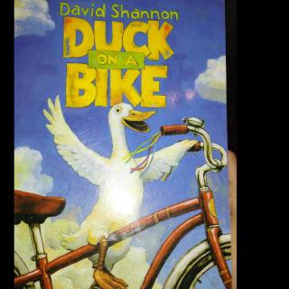 Duck  on a  Bike