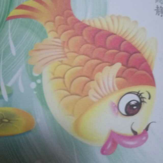 不满足的鱼🐠🐠