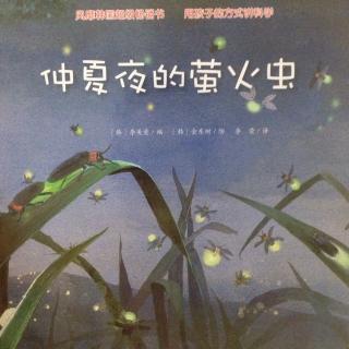 仲夏夜的萤火虫