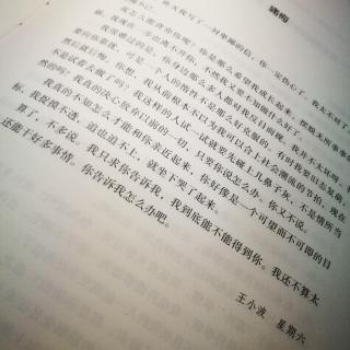 痛悔——王小波 星期六