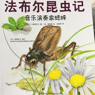 《音乐演奏家蟋蟀》法布尔昆虫记