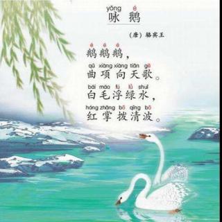 鹅鹅鹅古诗手抄报