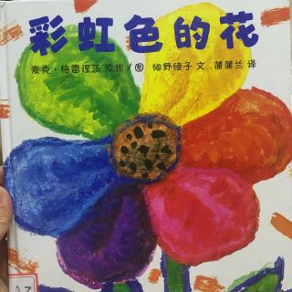 绘本故事：《彩虹色的花》