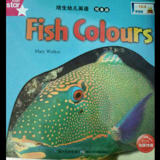 Fish colours