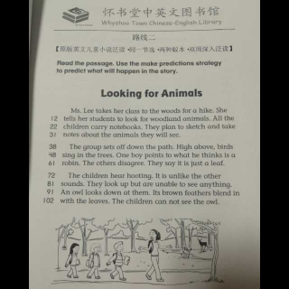 怀书英语 原版小说 双周 Looking for animals