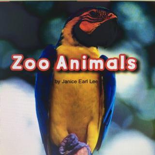 5/24 幼儿初阶 Zoo Animals