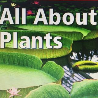 F11 Science～ All about plants