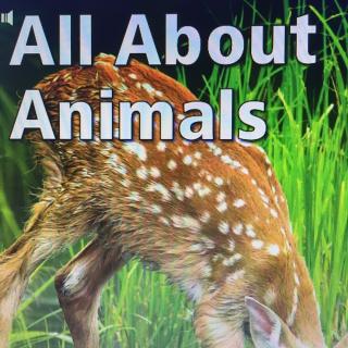 F10 Science～All about Animals