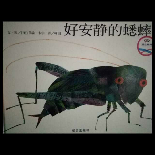 《好安静的蟋蟀》203【小蕾绘本故事】