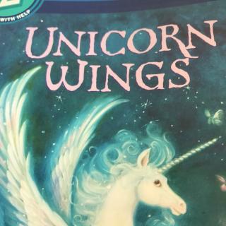 S2-Unicorn wings-170521