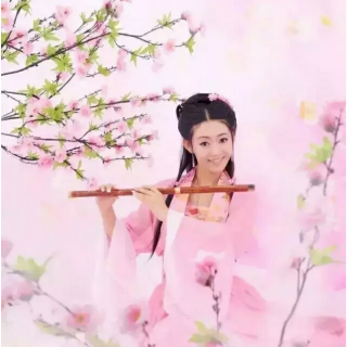 桃花缘（黛儿）