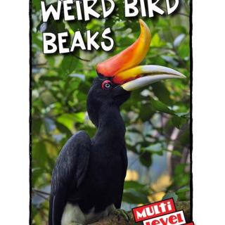 Weird Bird Beaks | Level N | Reading a-z