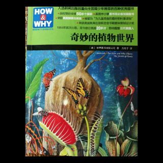 HOW&WHY奇妙的植物世界-40-79