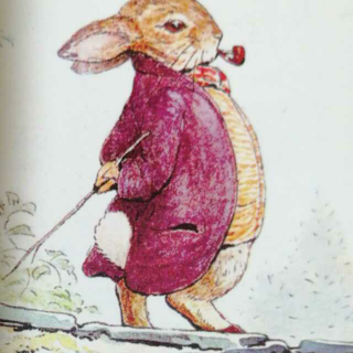 小兔子本杰明🐰    小兔子本杰明