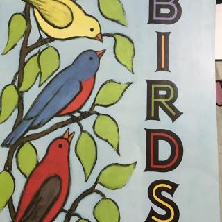 Birds