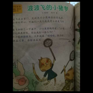 波波飞的小猪🐷梦