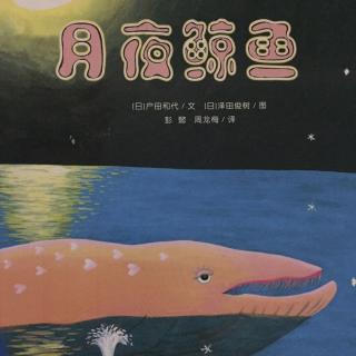 200.月夜鲸鱼🐳