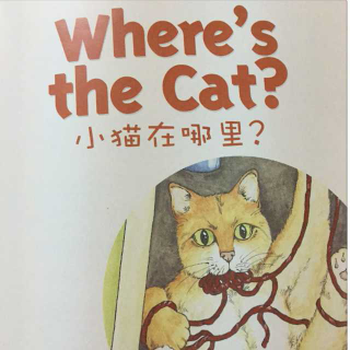 《Where's the cat?》