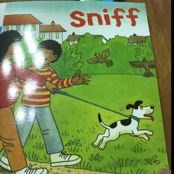 牛津阅读树3-2 sniff