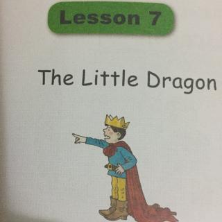 The Little Dragon