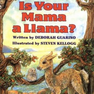 Is Your Mama a Llama？