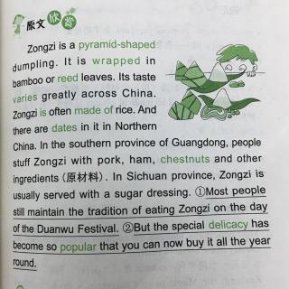 小升初英语晨读美文-Zongzi