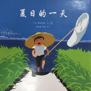 夏日的一天