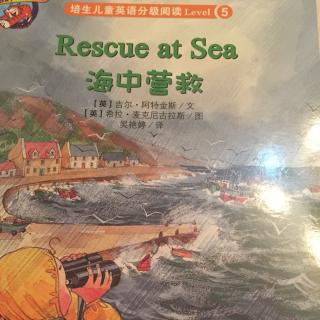 Rescue at Sea