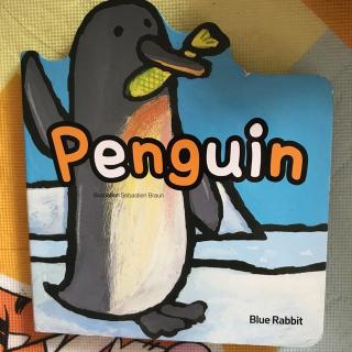 penguin