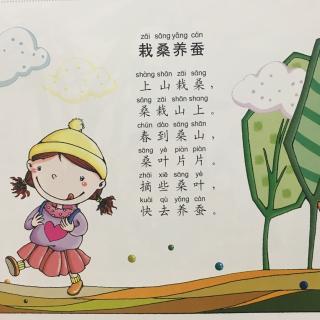 栽桑养蚕