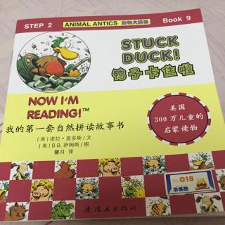 Stuck Duck!