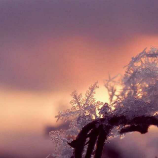 依梦听雪