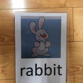 rabbit,mouse