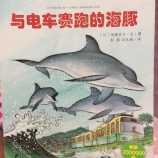 与电车赛跑的海豚🐬