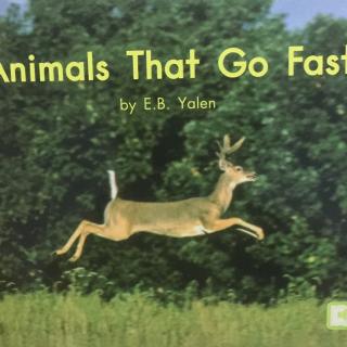 Animals that go fast