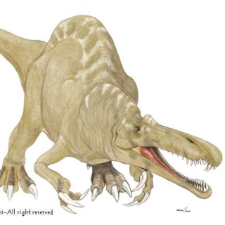 鳄鱼嘴恐龙：似鳄龙