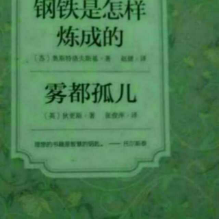 钢铁是怎样炼成的——第二部第三章（2）