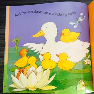 【韵文洞洞书】Five little ducks五只小鸭子