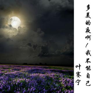 《多美的夜啊！我不能自己》